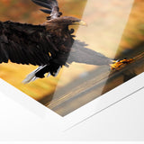 Majestic Birds of Prey Wildlife Art – Graceful Eagle Wall Decor Print
