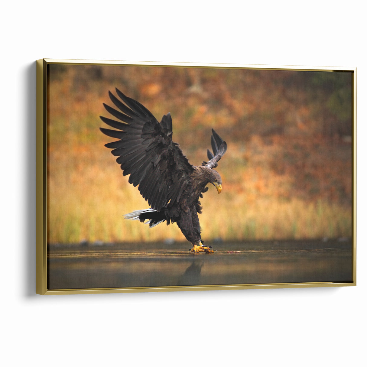 Majestic Birds of Prey Wildlife Art – Graceful Eagle Wall Decor Print