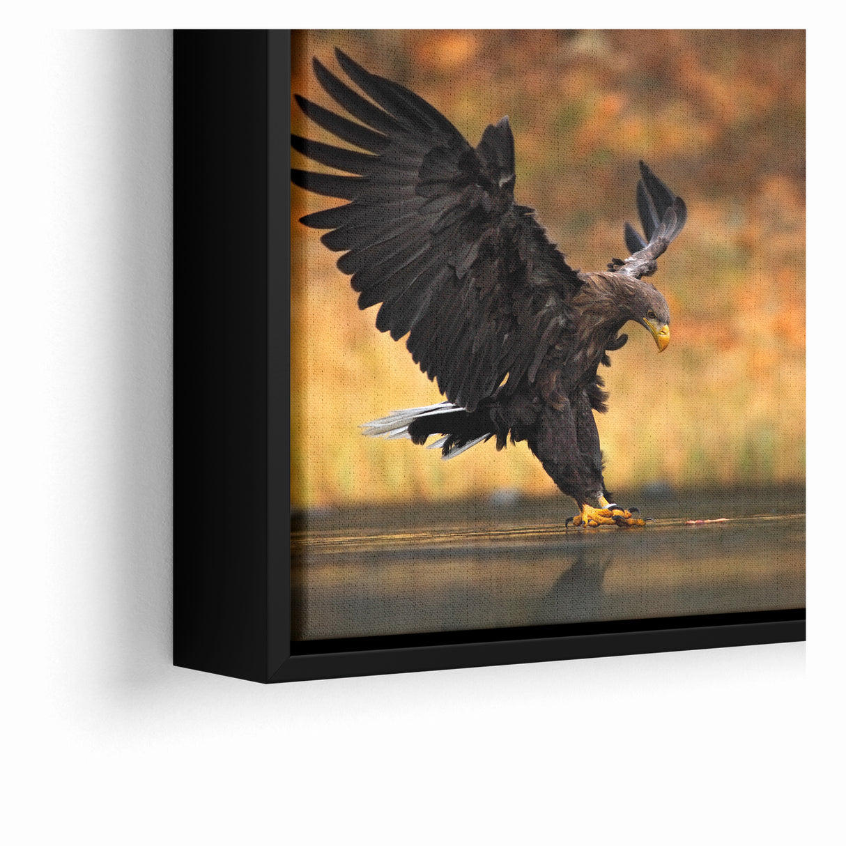 Majestic Birds of Prey Wildlife Art – Graceful Eagle Wall Decor Print