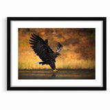 Majestic Birds of Prey Wildlife Art – Graceful Eagle Wall Decor Print