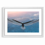 Stunning Birds of Prey Nature Art – Soaring Eagle Wall Decor Canvas