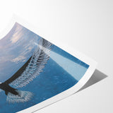 Stunning Birds of Prey Nature Art – Soaring Eagle Wall Decor Canvas