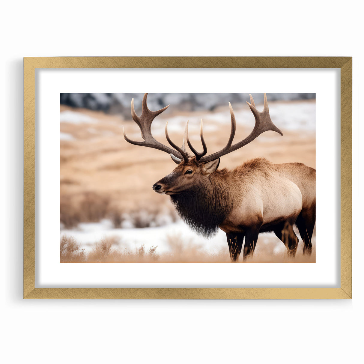 Graceful Antelope Wildlife Art - Elegant African Antelope Print Canvas