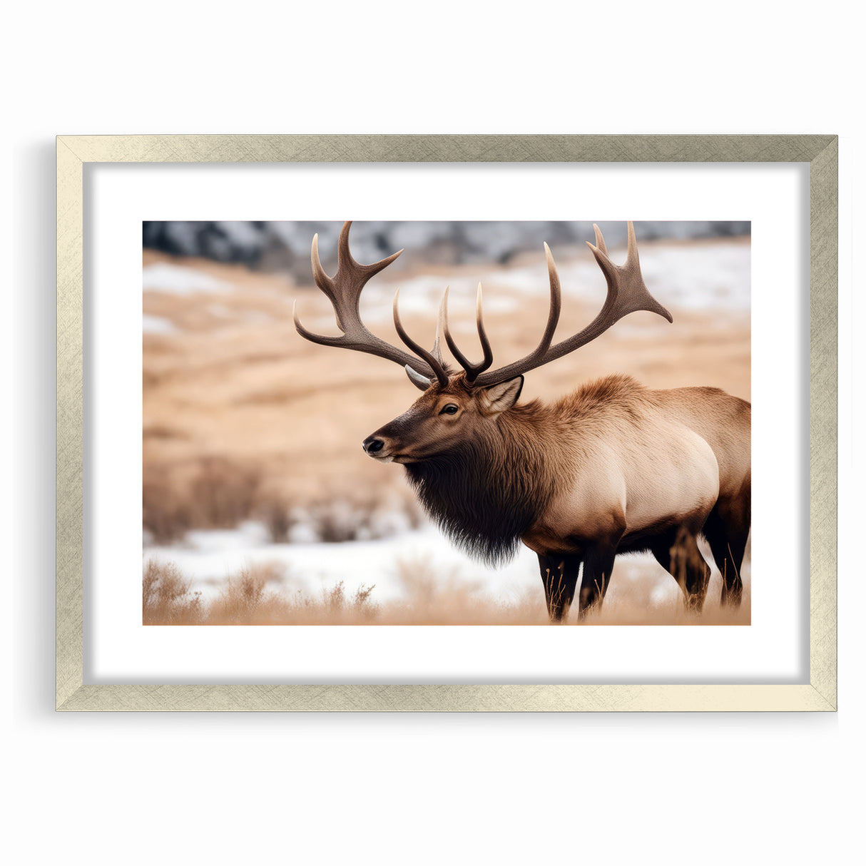 Graceful Antelope Wildlife Art - Elegant African Antelope Print Canvas