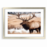Graceful Antelope Wildlife Art - Elegant African Antelope Print Canvas