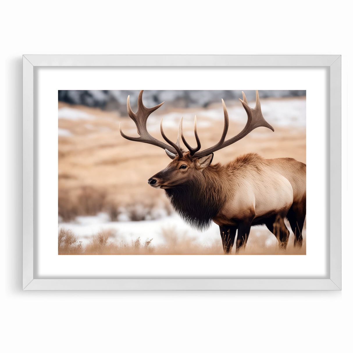 Graceful Antelope Wildlife Art - Elegant African Antelope Print Canvas