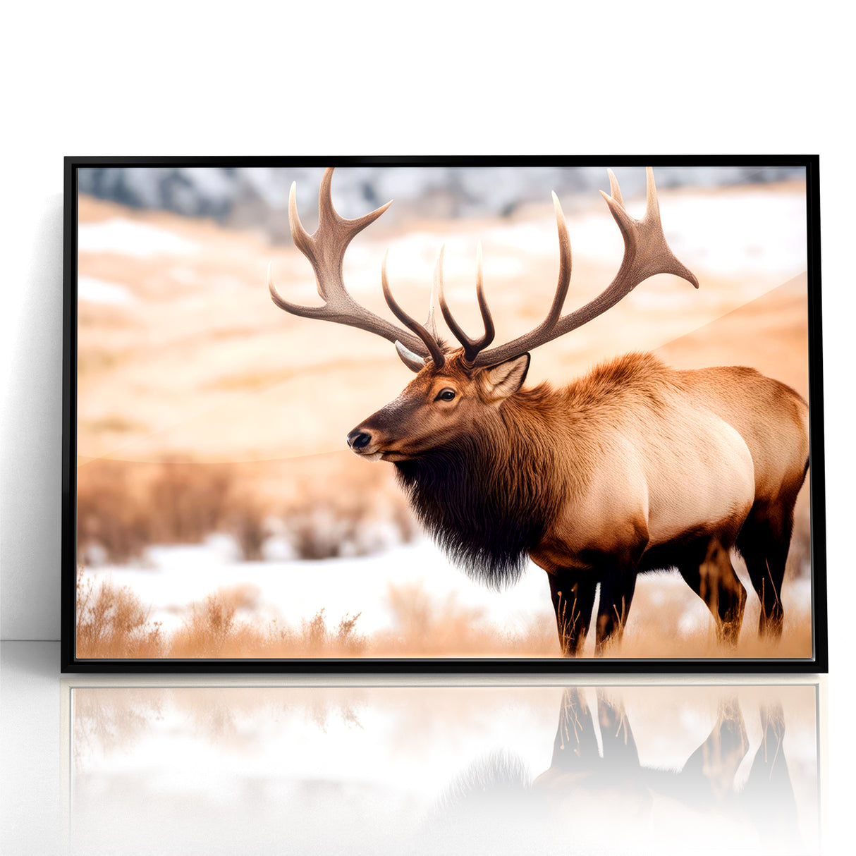 Graceful Antelope Wildlife Art - Elegant African Antelope Print Canvas