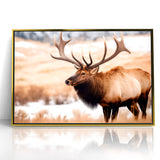 Graceful Antelope Wildlife Art - Elegant African Antelope Print Canvas