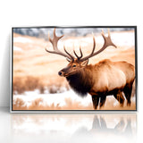 Graceful Antelope Wildlife Art - Elegant African Antelope Print Canvas