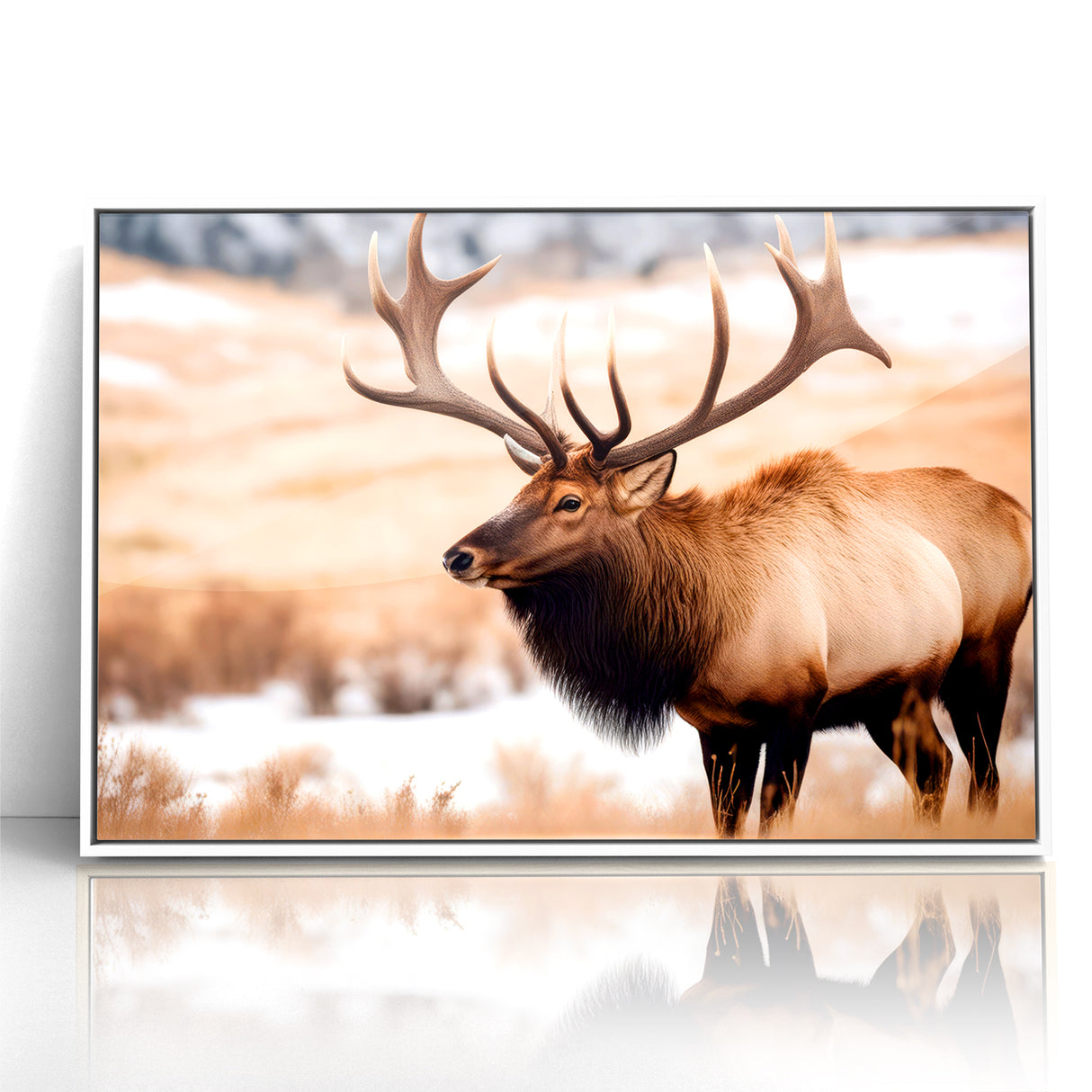 Graceful Antelope Wildlife Art - Elegant African Antelope Print Canvas