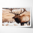 Graceful Antelope Wildlife Art - Elegant African Antelope Print Canvas