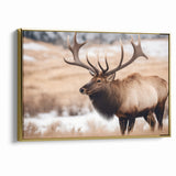 Graceful Antelope Wildlife Art - Elegant African Antelope Print Canvas