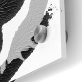 Textured Black and White Abstract Art | Monochrome Canvas Design