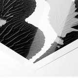 Textured Black and White Abstract Art | Monochrome Canvas Design