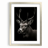 Majestic Antelope Wall Art - Elegant Wildlife Print in Stunning Detail