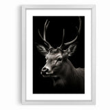Majestic Antelope Wall Art - Elegant Wildlife Print in Stunning Detail