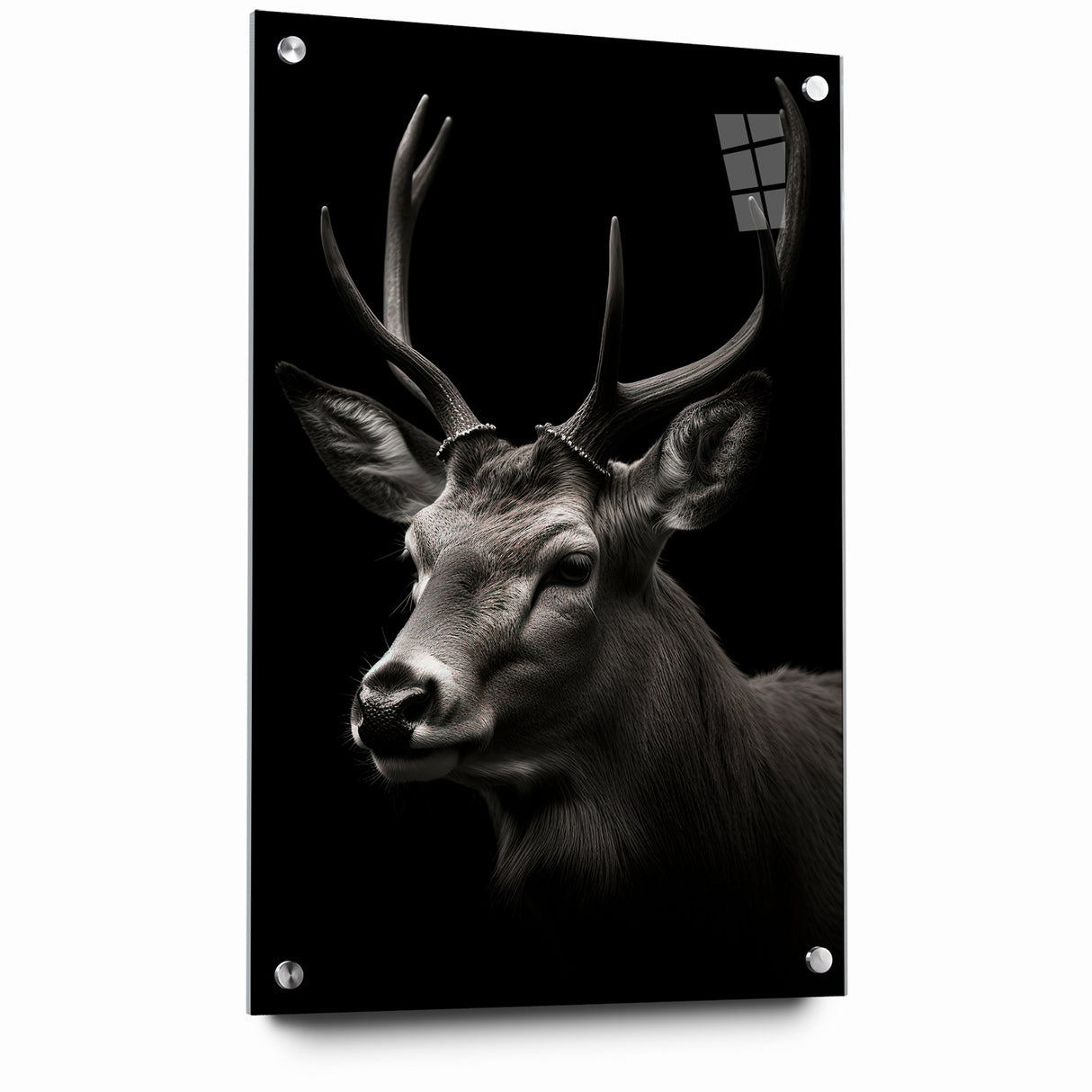 Majestic Antelope Wall Art - Elegant Wildlife Print in Stunning Detail