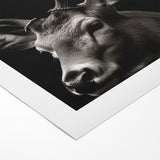 Majestic Antelope Wall Art - Elegant Wildlife Print in Stunning Detail