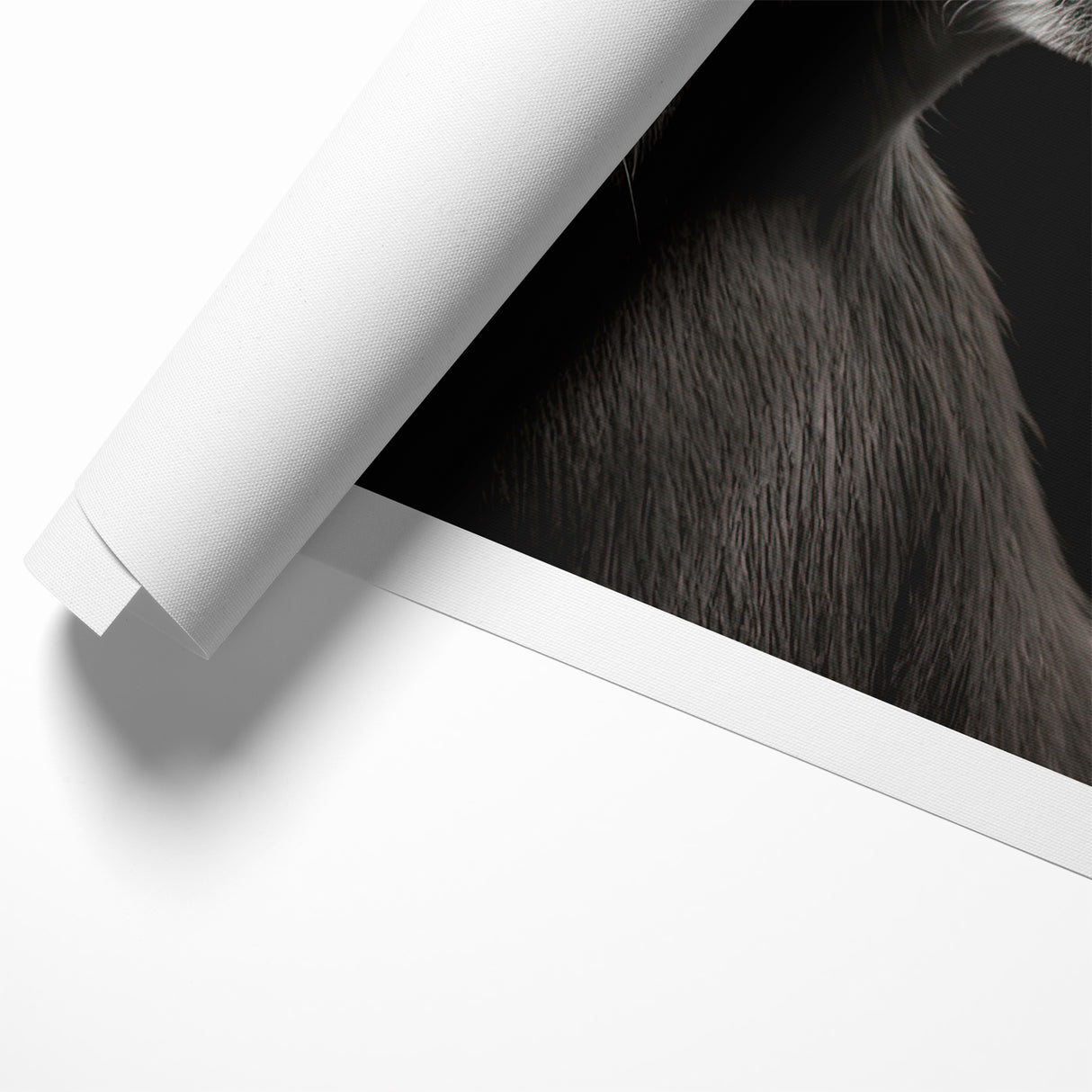 Majestic Antelope Wall Art - Elegant Wildlife Print in Stunning Detail