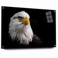 Elegant Birds of Prey Wall Art – Majestic Bald Eagle Portrait Print