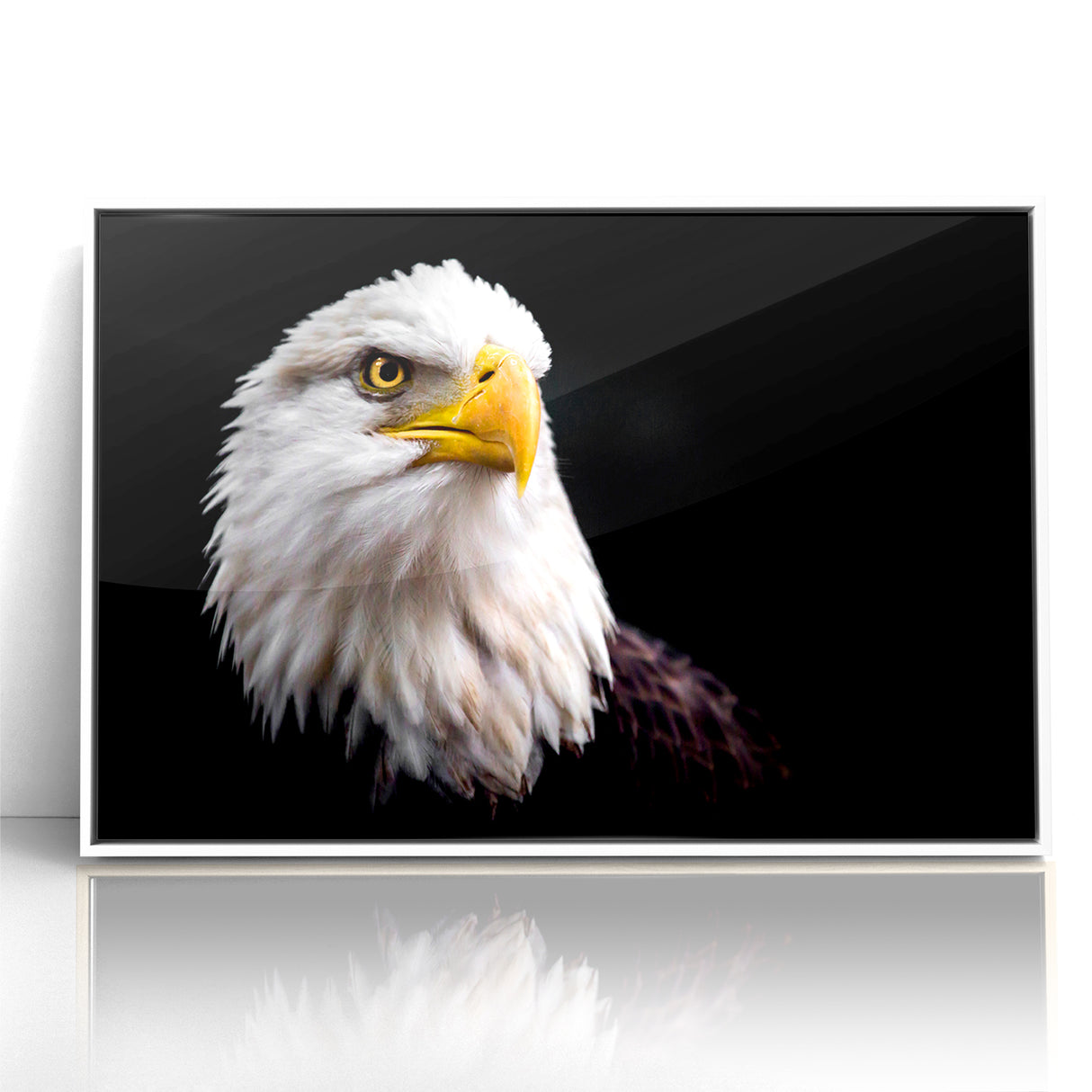 Elegant Birds of Prey Wall Art – Majestic Bald Eagle Portrait Print