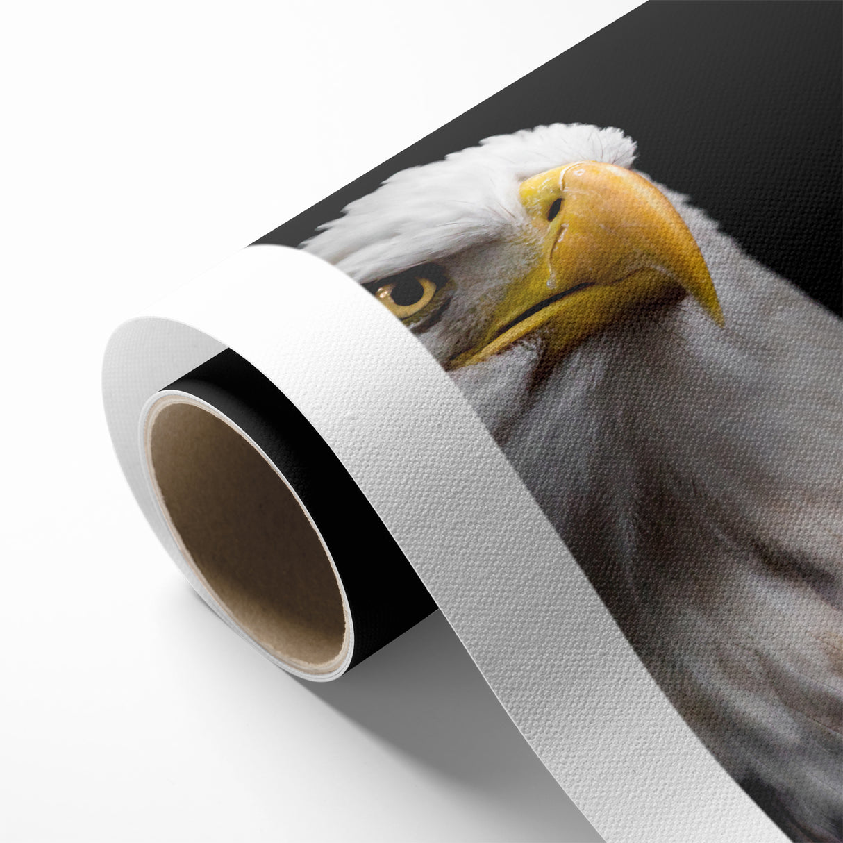 Elegant Birds of Prey Wall Art – Majestic Bald Eagle Portrait Print
