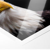 Elegant Birds of Prey Wall Art – Majestic Bald Eagle Portrait Print