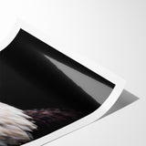 Elegant Birds of Prey Wall Art – Majestic Bald Eagle Portrait Print
