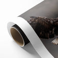 Powerful Birds of Prey Wall Art – Eagle in Flight Wildlife Canvas Print