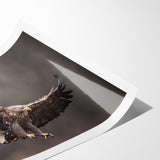 Powerful Birds of Prey Wall Art – Eagle in Flight Wildlife Canvas Print