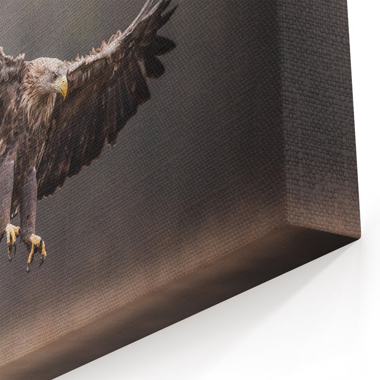 Powerful Birds of Prey Wall Art – Eagle in Flight Wildlife Canvas Print