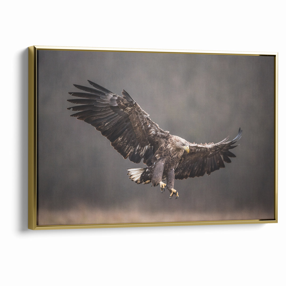 Powerful Birds of Prey Wall Art – Eagle in Flight Wildlife Canvas Print