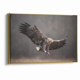 Powerful Birds of Prey Wall Art – Eagle in Flight Wildlife Canvas Print