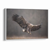 Powerful Birds of Prey Wall Art – Eagle in Flight Wildlife Canvas Print