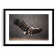 Powerful Birds of Prey Wall Art – Eagle in Flight Wildlife Canvas Print