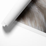 Intense Birds of Prey Wall Art – Bald Eagle Close-Up Portrait Print
