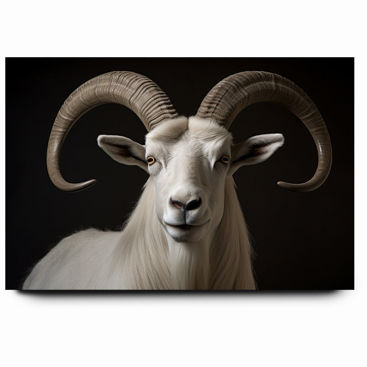 Majestic White Antelope with Impressive Horns - Captivating Wall Art
