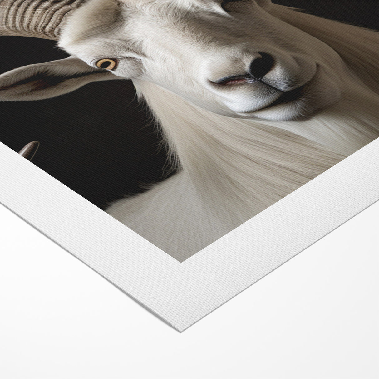 Majestic White Antelope with Impressive Horns - Captivating Wall Art