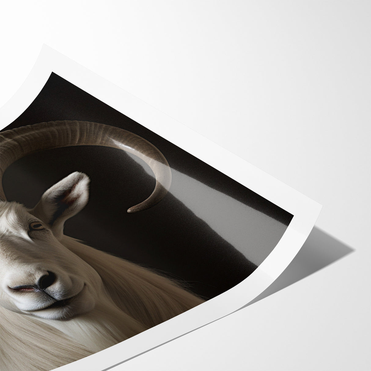 Majestic White Antelope with Impressive Horns - Captivating Wall Art