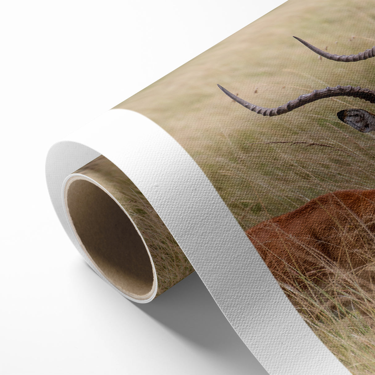 Serene Antelope in Tall Grass - Nature-Inspired Wildlife Wall Art