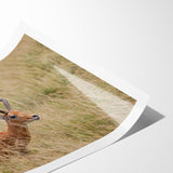 Serene Antelope in Tall Grass - Nature-Inspired Wildlife Wall Art