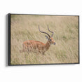 Serene Antelope in Tall Grass - Nature-Inspired Wildlife Wall Art