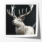 Majestic White Antelope with Regal Antlers - Elegant Wall Art Decor