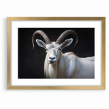 Majestic White Antelope Wildlife Art – Stunning Antelope Canvas Prints