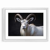 Majestic White Antelope Wildlife Art – Stunning Antelope Canvas Prints