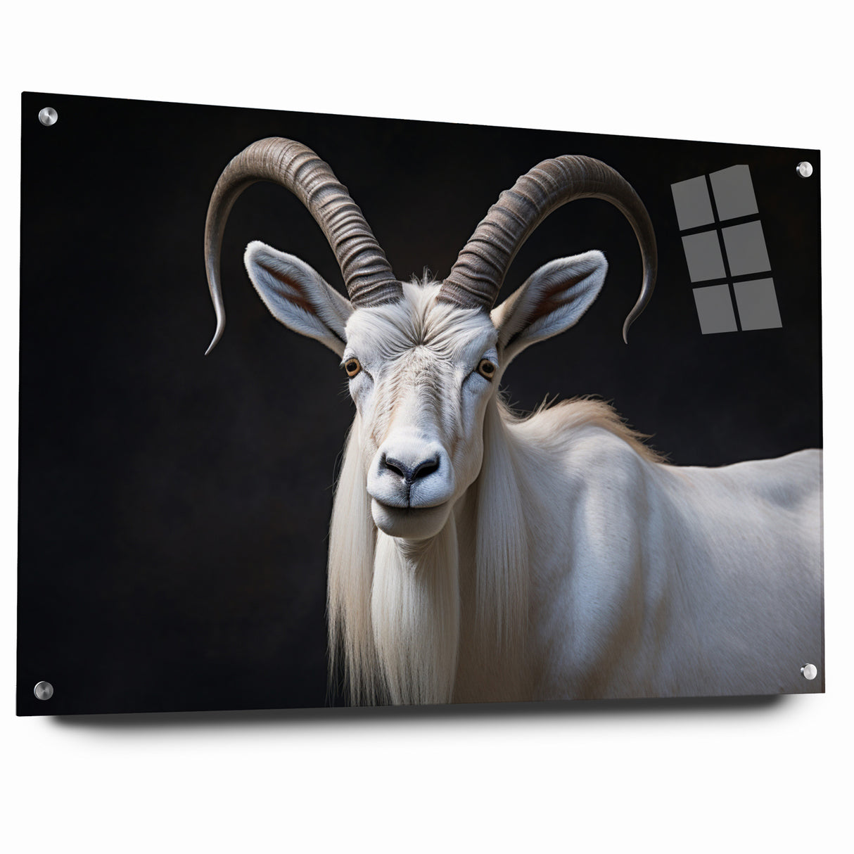 Majestic White Antelope Wildlife Art – Stunning Antelope Canvas Prints