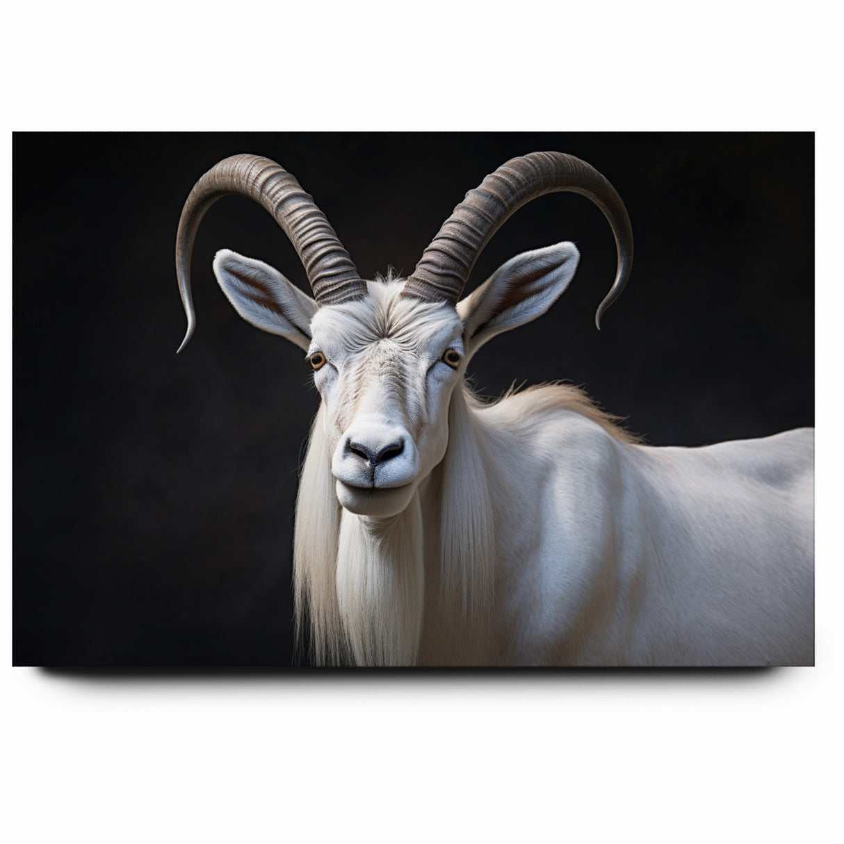 Majestic White Antelope Wildlife Art – Stunning Antelope Canvas Prints