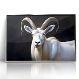 Majestic White Antelope Wildlife Art – Stunning Antelope Canvas Prints