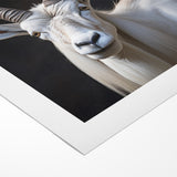 Majestic White Antelope Wildlife Art – Stunning Antelope Canvas Prints