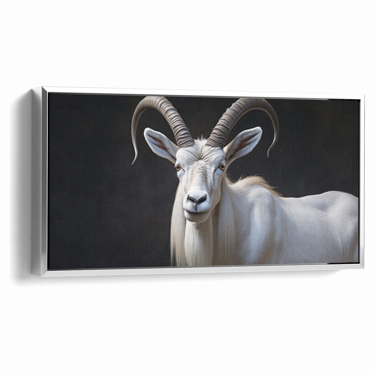 Majestic White Antelope Wildlife Art – Stunning Antelope Canvas Prints